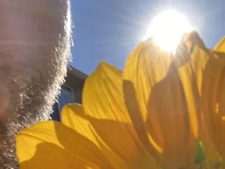 Woodiesays_22's Thumb Image