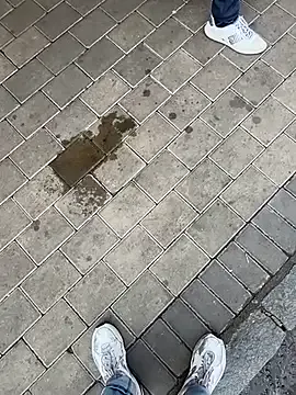 012ptaDickBBC Image 19