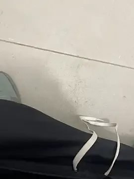 012ptaDickBBC Image 2