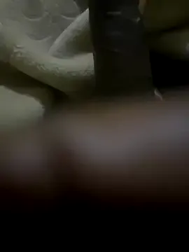 012ptaDickBBC Image 9