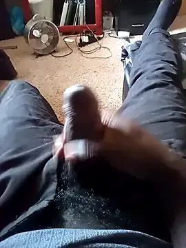 22orlando webcam show