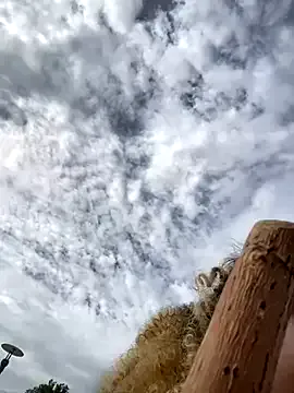 BigFineSelena Image 14