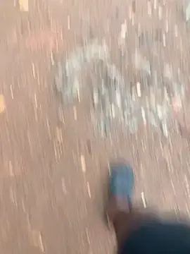 Black_mamba_madingo Image 4