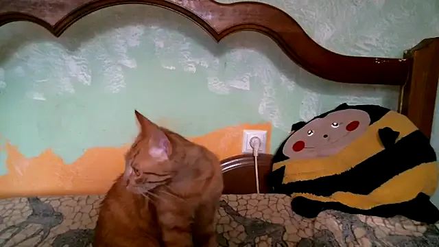 DennisXCaroll Image 10