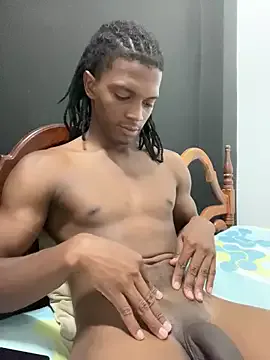 KingBlack25cm Image 18