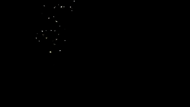 Reena_Singh53 Image 13