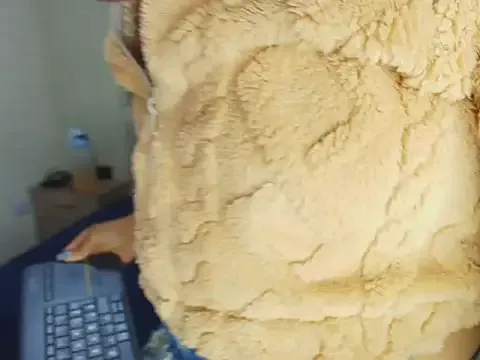 sofiagutierrez__ Image 4