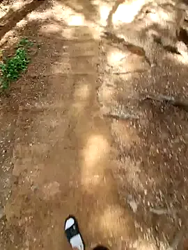 starvingo2002 Image 15