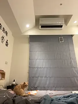 tw_feibaby webcam show