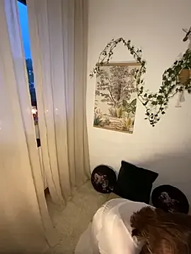 Vanillezucker Image 10