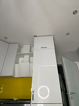 VelvetVixenI Image 2